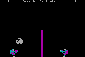 Arcade Volleyball abandonware
