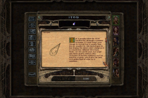 Baldur's Gate II: Shadows of Amn 38