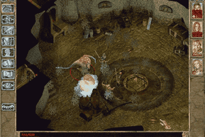 Baldur's Gate II: Shadows of Amn 4