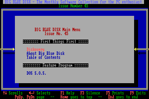 Big Blue Disk #45 abandonware