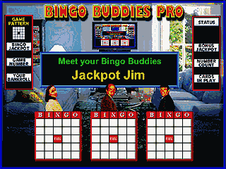 Bingo Buddies Pro abandonware