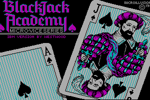 BlackJack Academy 0