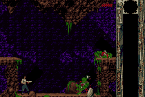 Blackthorne abandonware