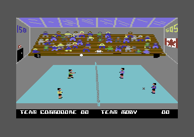 Bump, Set, Spike! Doubles Volleyball abandonware