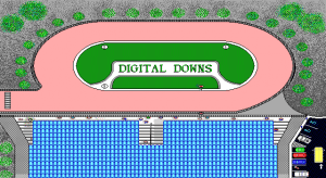 Digital Downs 4