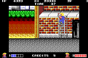 Double Dragon abandonware