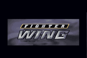 Fighter Wing 0