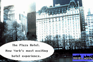 Home Alone 2: Lost in New York 1