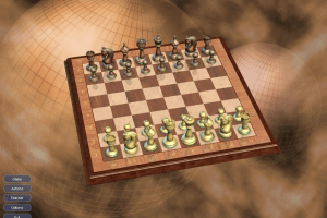 Hoyle Majestic Chess 10