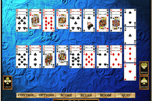 Hoyle Solitaire 19