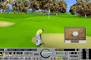 Links: The Challenge of Golf 9