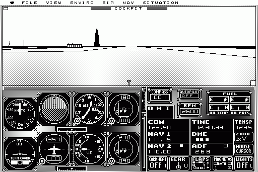 Microsoft Flight Simulator abandonware