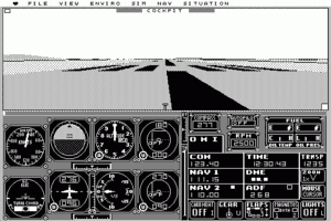 Microsoft Flight Simulator 0