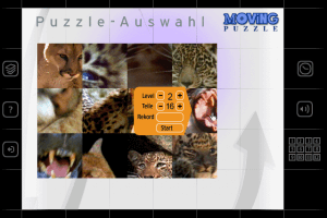 Moving Puzzle: Cats 2