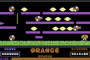 Orange Squash 1