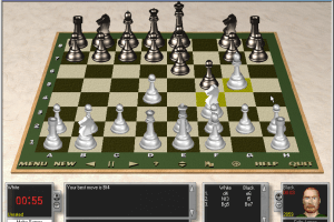 Perfect Chessmate abandonware