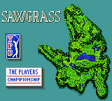 PGA Tour 96 abandonware