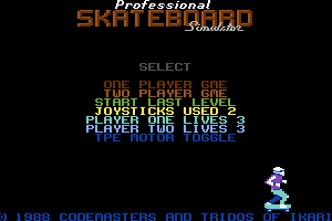 Pro Skateboard Simulator 1