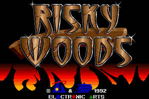 Risky Woods 0