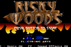 Risky Woods 0