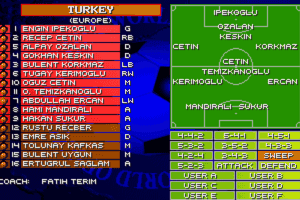 Sensible World of Soccer 4