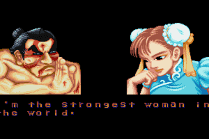 Street Fighter II: The World Warrior 9