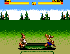 Street Fighter II: Champion Edition 20