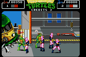 Teenage Mutant Ninja Turtles 16