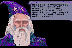 The Adventures of Maddog Williams in the Dungeons of Duridian 2