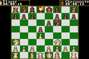 The Chessmaster 2000 abandonware