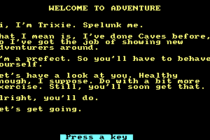 The Very Big Cave Adventure 1
