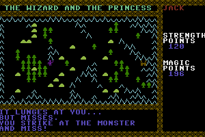 The Wizard and the Princess 2