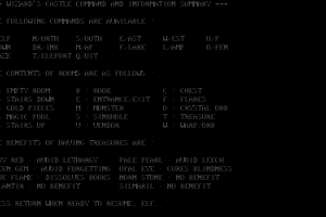 The Wizard's Castle abandonware