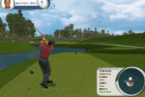 Tiger Woods PGA Tour 2002 abandonware