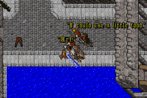 Ultima VII: Part Two - Serpent Isle 12
