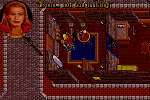Ultima VII: Part Two - Serpent Isle 18