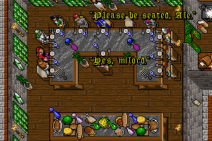 Ultima VII: Part Two - Serpent Isle 20