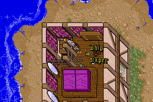 Ultima VII: Part Two - Serpent Isle 30