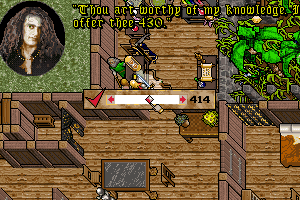 Ultima VII: Part Two - Serpent Isle 35