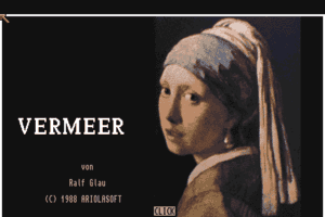 Vermeer 0