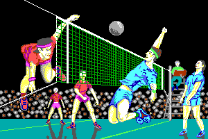 Volleyball Simulator 1