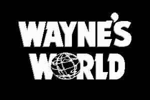 Wayne's World 0