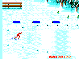 Winter Olympics: Lillehammer '94 14