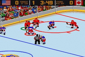 World Hockey 95 4