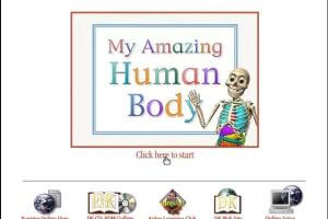 My Amazing Human Body 3