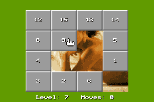 15 Move Hole Puzzle 11