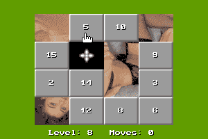 15 Move Hole Puzzle 12
