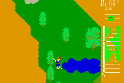 18 Holes Pro Golf 3