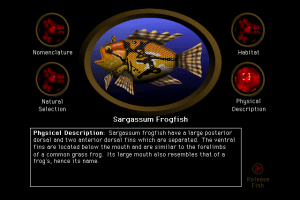 20,000 Leagues Under the Sea 8