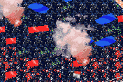 2005 Real Soccer 8